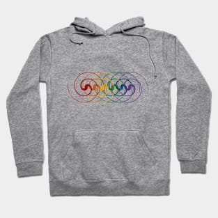 Rainbow Harmony (transparent) Hoodie